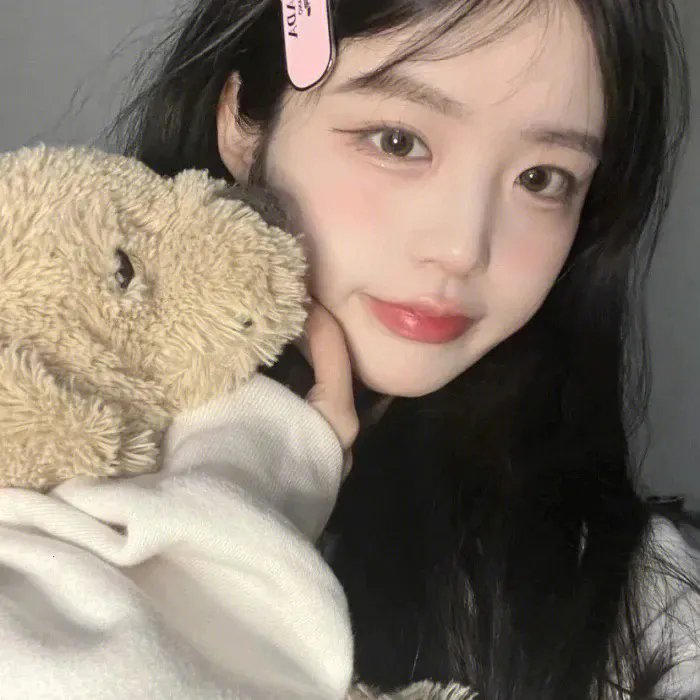 奇波和神奇动物的时代第一季